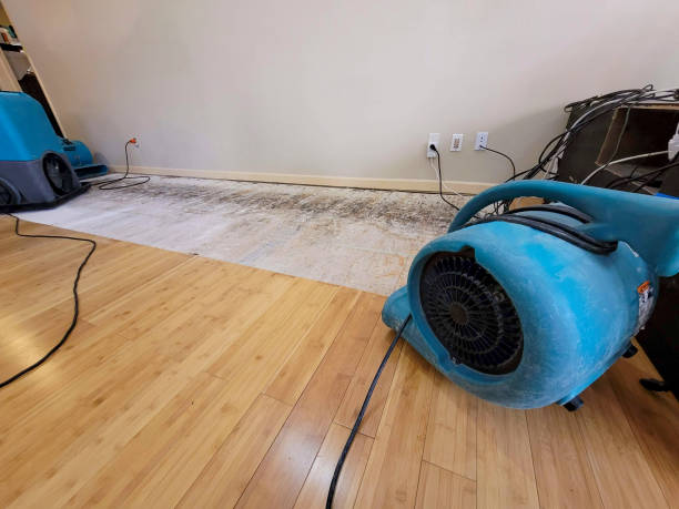 Professional Structural Drying technician working in Ansonia, OH